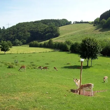 Hof Goerrespesch-Ferien Im Herzen Der Schneifel Schlausenbach Exterior foto