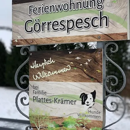 Hof Goerrespesch-Ferien Im Herzen Der Schneifel Schlausenbach Exterior foto